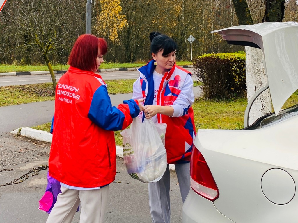 В преддверии Дня народного единства: ученики школы №5 поддержали акцию волонтеров