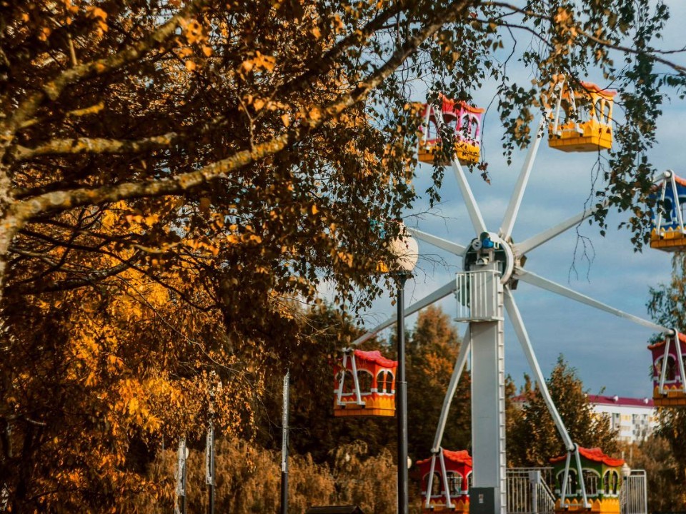Спортивные игры и лекцию о грибах устроят в городском парке