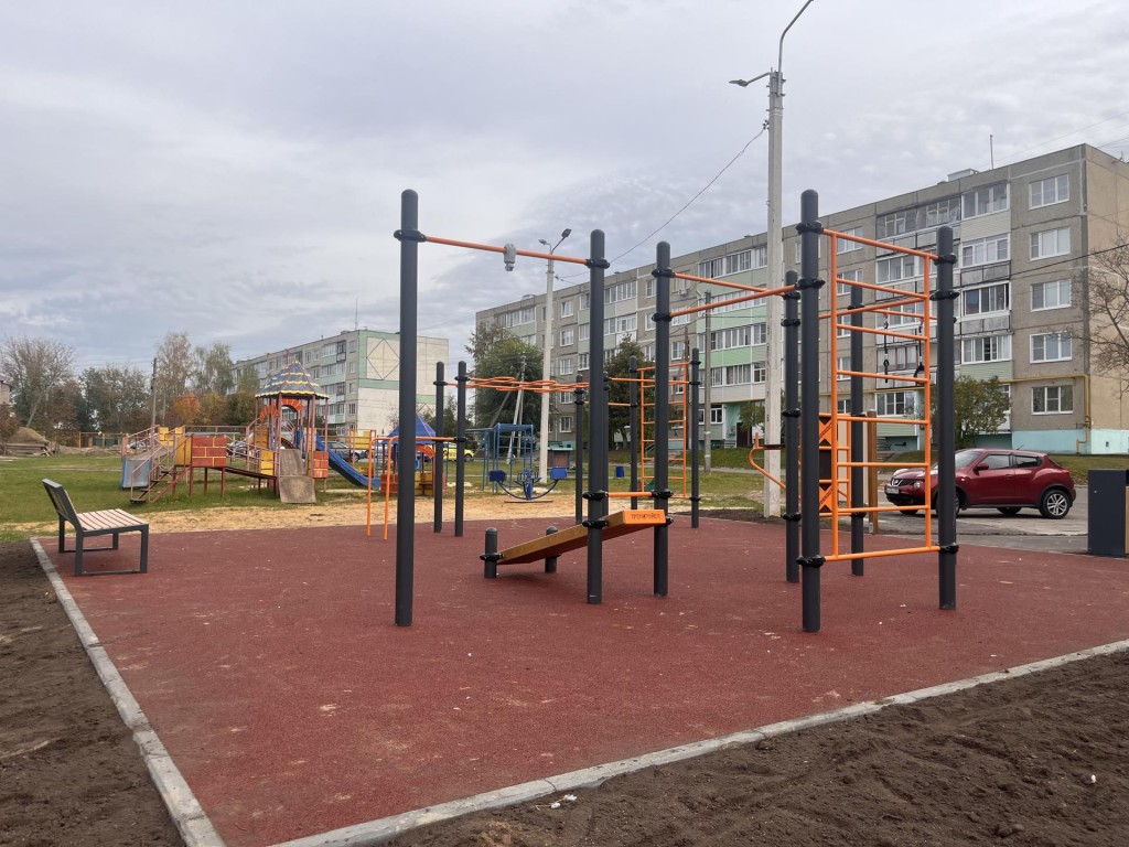На месте пустыря в Дмитровском Погосте возвели современную воркаут-площадку