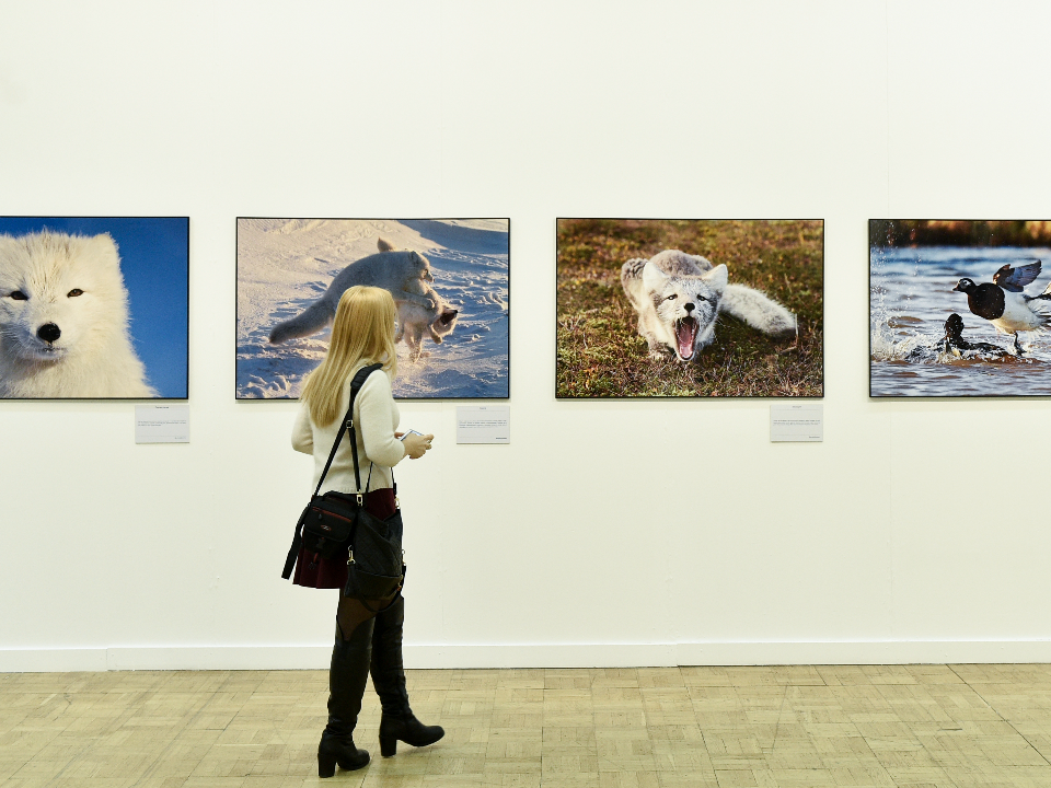 В Лобне откроют фотовыставку «Друг, зверь и человек»