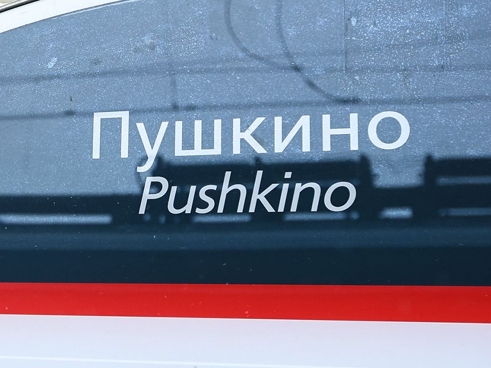 Движение электропоездов в Москву вернулось в график после наезда на человека в Софрине