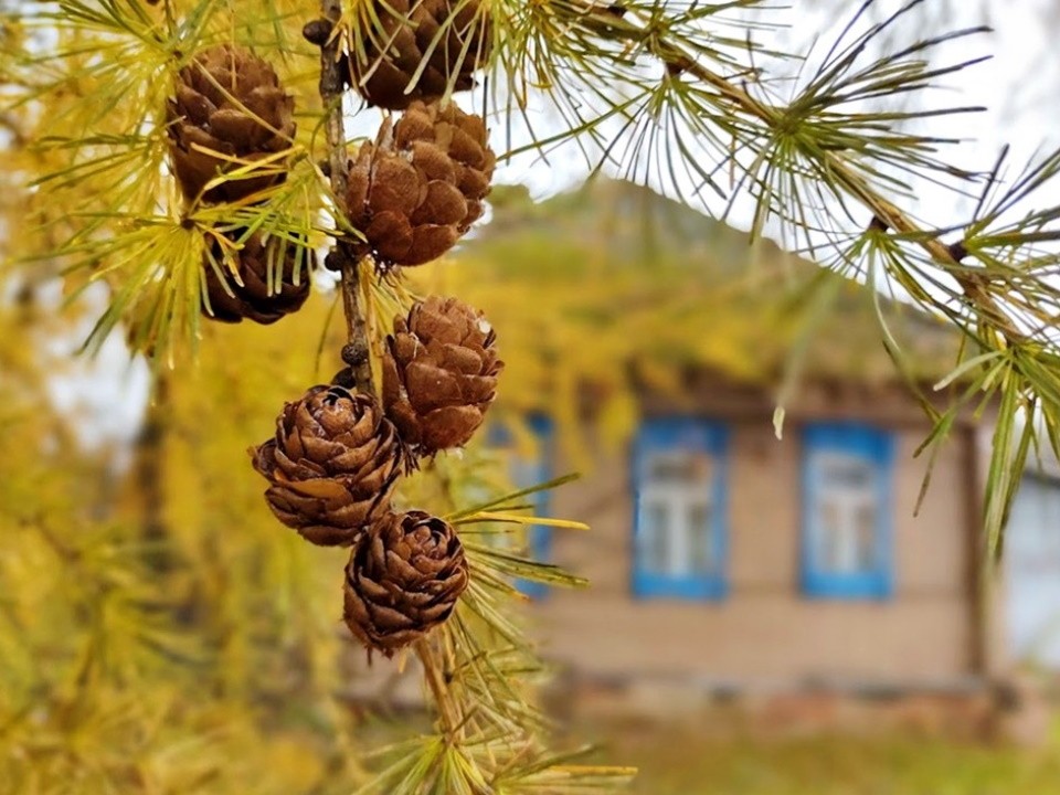 Резкая смена погоды ожидается в Лосино-Петровском