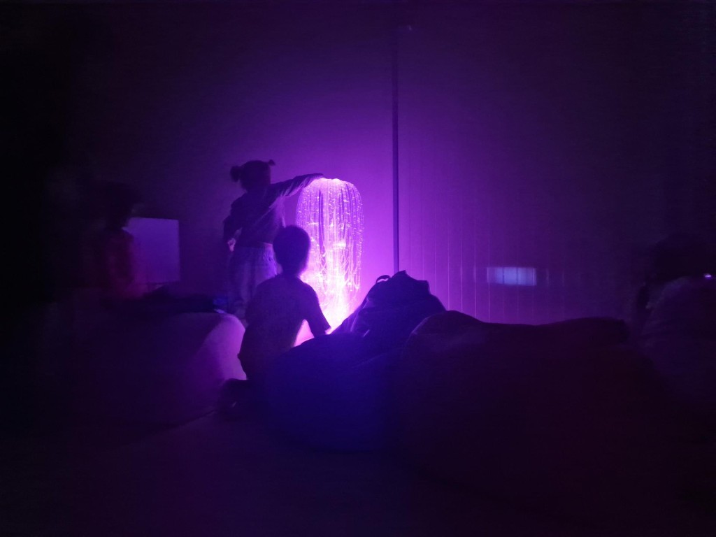 «Радуга радости»: сенсорная комната в деревне под Воскресенском стала центром притяжения жителей