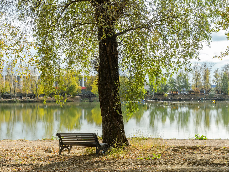 В Котельниках приглашают окунуться в мир истории и преданий с Казанской иконы Божией Матери