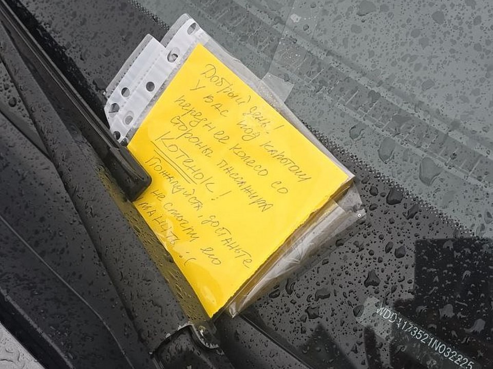 Целую операцию по спасению котенка из-под капота автомобиля провели в ЖК «Ярославский»