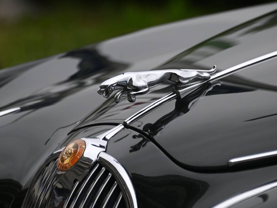 Jaguar потерял эксклюзивные права на торговый знак в РФ: как изменения отразятся на рынке