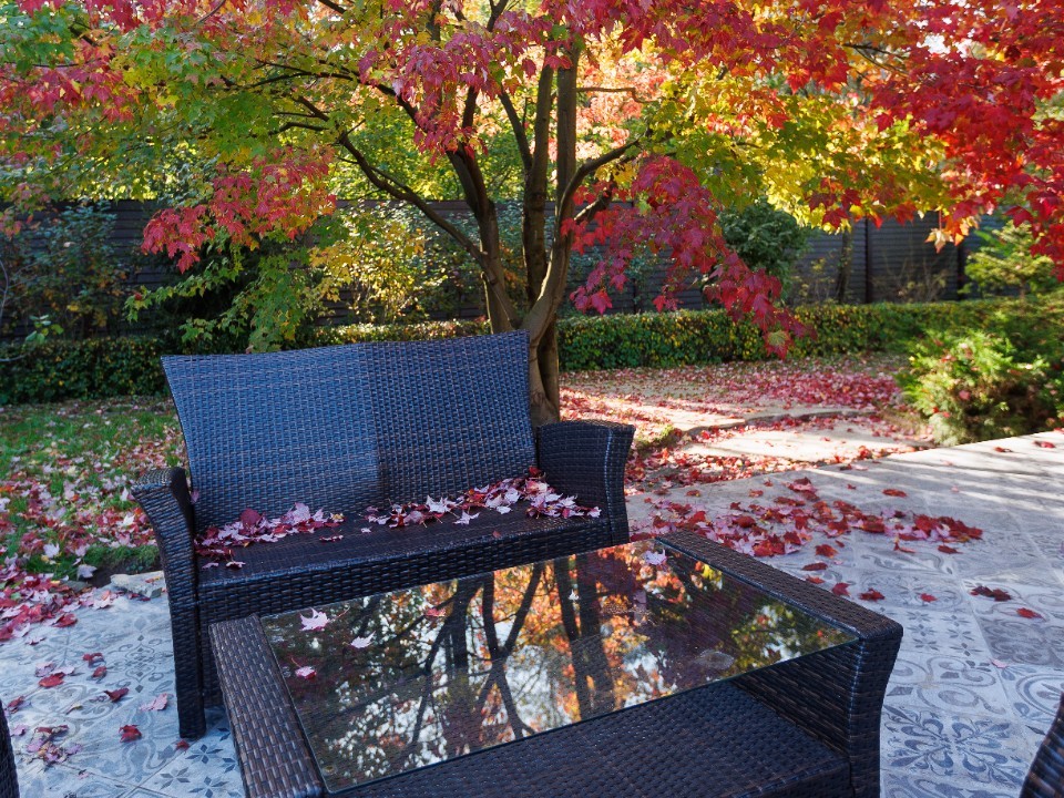 Подмосковье ждет дождливая пятница и промозглые выходные: что не так с погодой