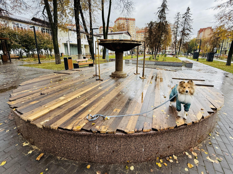 Слили систему и укрыли настилом: городские фонтаны готовы к зиме