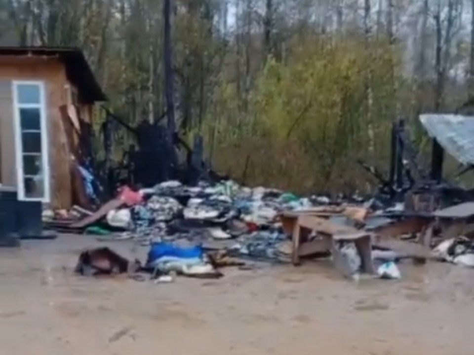 Ружане окажут помощь Можайскому приюту для животных