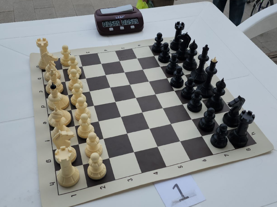 В Подольске участников СВО и членов их семей научат играть в шахматы