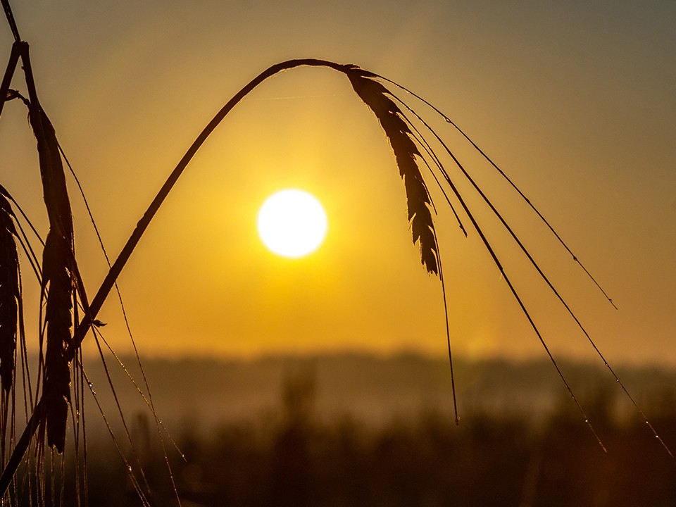 Какой народный праздник отмечают 29 октября 2025: что можно и нельзя делать в день Лонгина Сотника