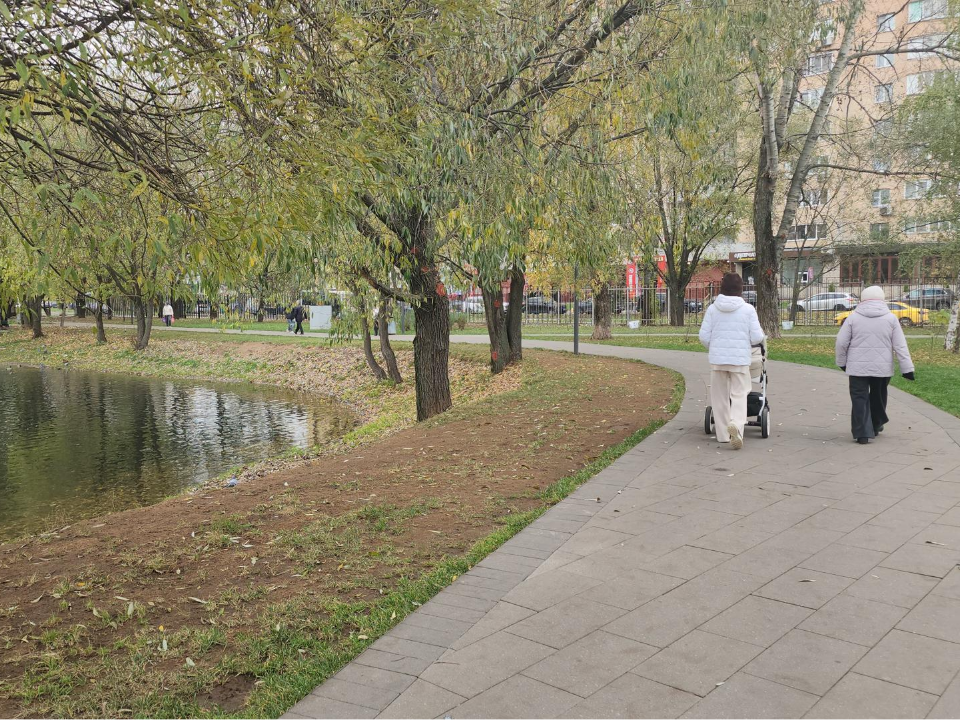 Прибрежную зону Наташинских прудов очистили от опавшей листвы