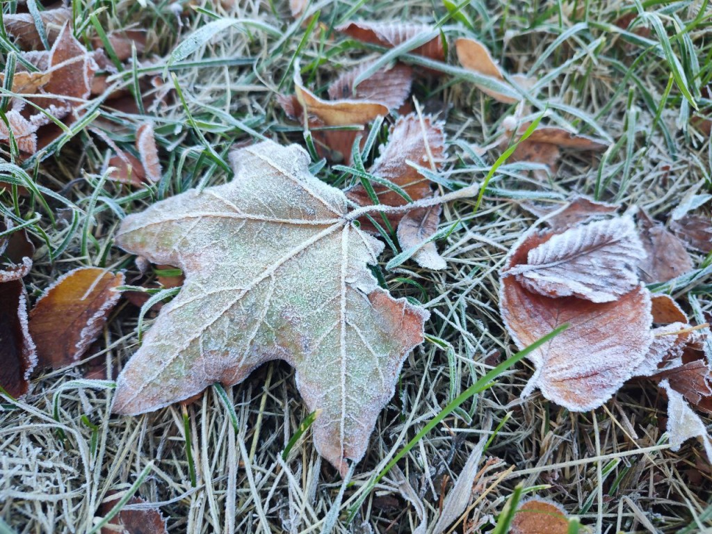 Прогноз погоды в Луховицах на 3 октября 2025 года