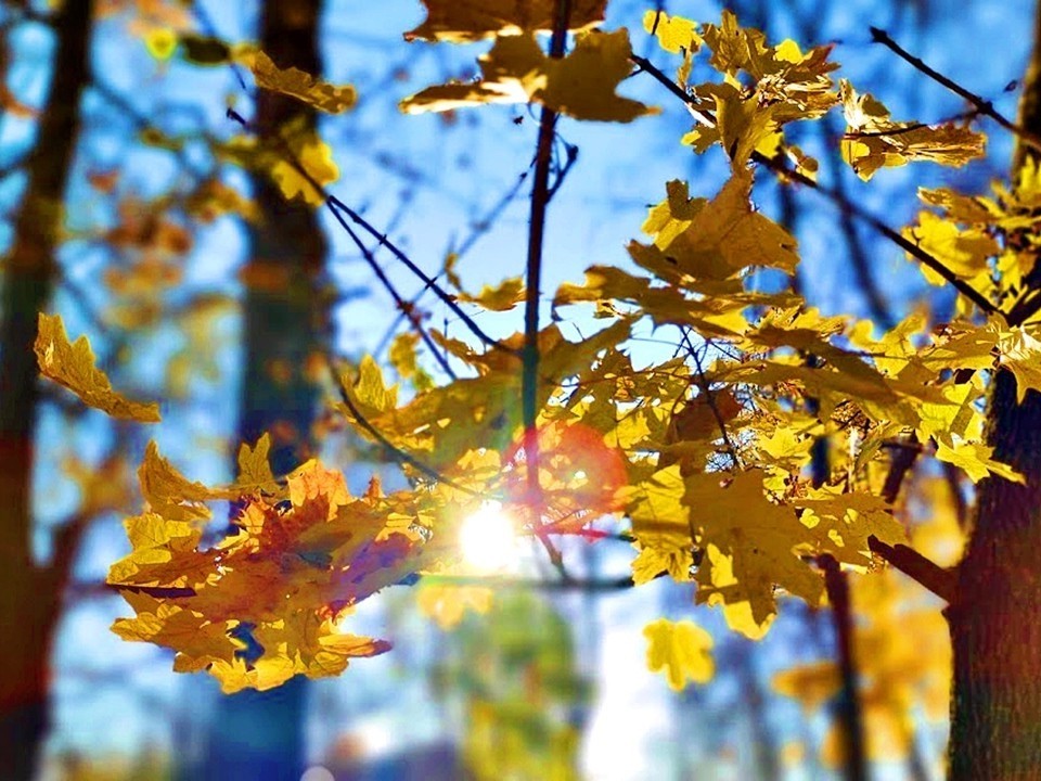 Подмосковье согреется до +9 в предпоследний день октября