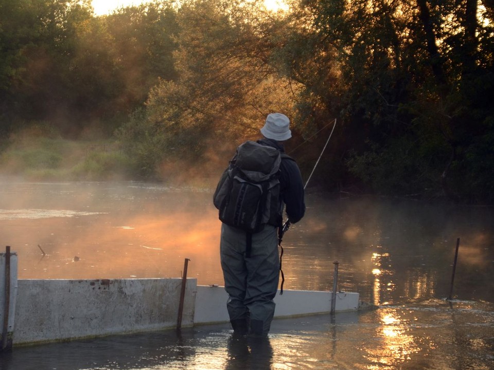 На вертолете за рыбой и портал в другую реальность: самые неожиданные объявления из Дубны