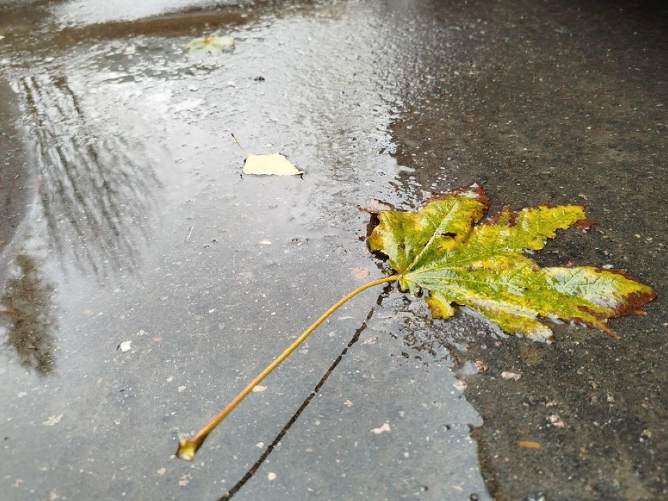 Похолодание и девять дней дождя: на Подольск надвигается циклон «Барбара»