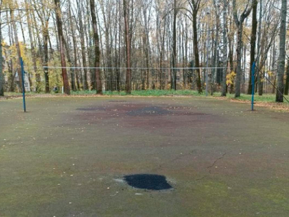 В Тимоново привели в порядок спортивную площадку после обращения жителя