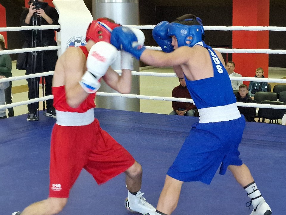 Бойцы MMA из Шатуры завоевали семь золотых медалей на крупном турнире