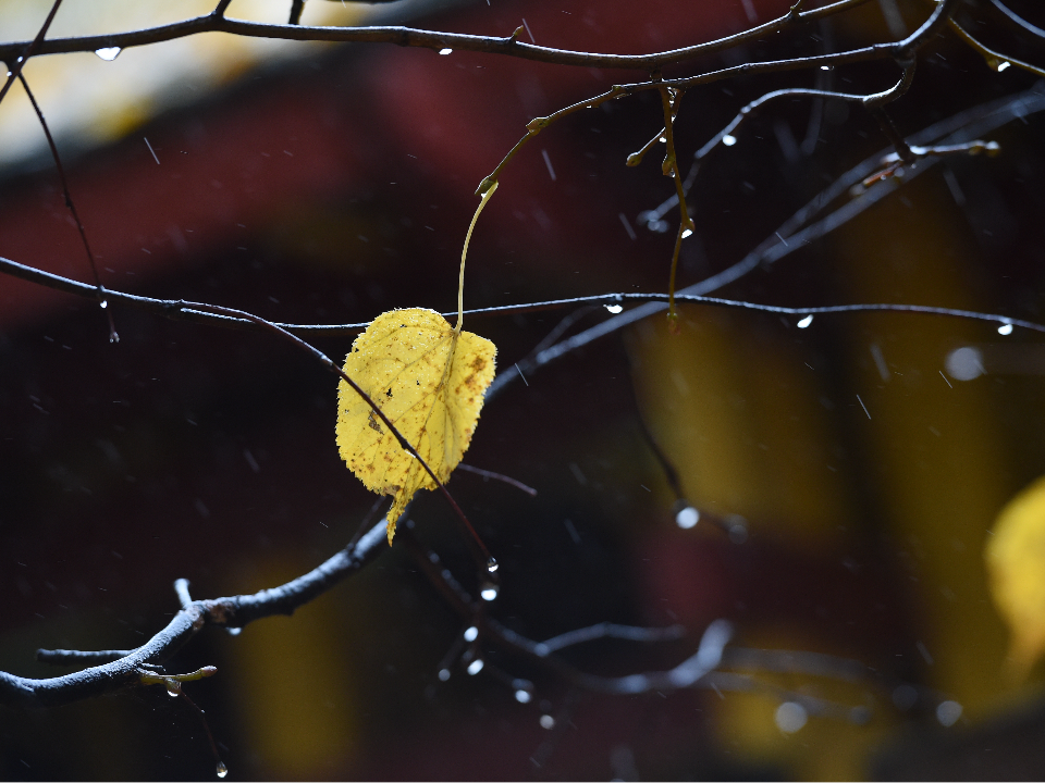 Циклон с Балтики накроет Подмосковье и принесет сильные дожди в последние дни октября