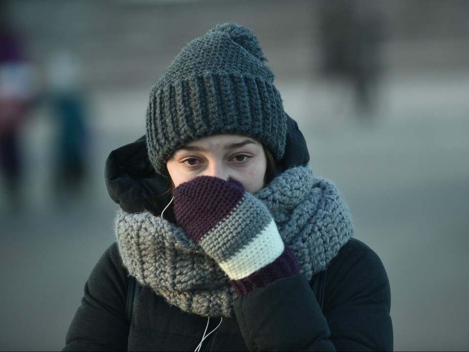 Грязная шапка — сегодня, лысина — завтра: чем опасны некачественные головные уборы