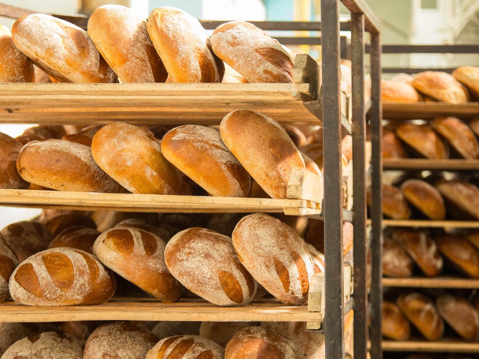 Каширянки покоряют всероссийский конкурс «Точка.РФ» своими историями и хлебом