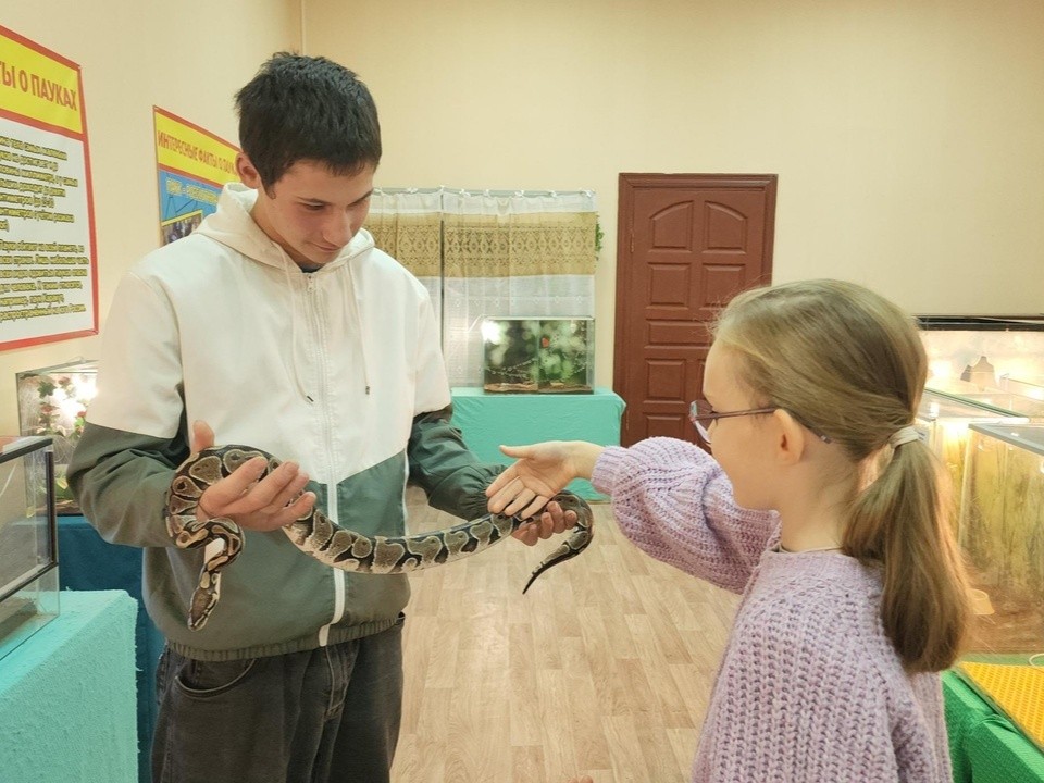 В музее Ликино-Дулева поселились ящерицы и  змеи