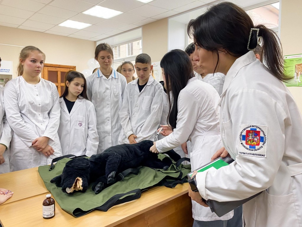 Преподавательница из Сергиева Посада вошла в число лучших мастеров