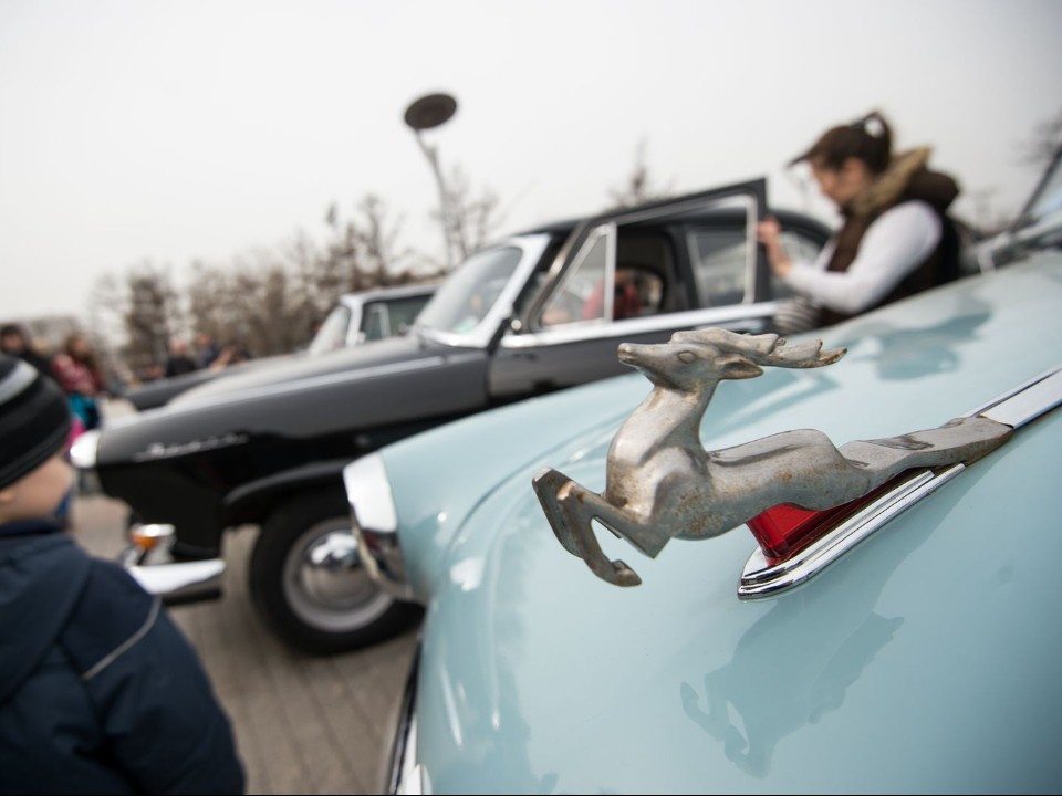 Ретроавтомобили стали популярны у молодоженов