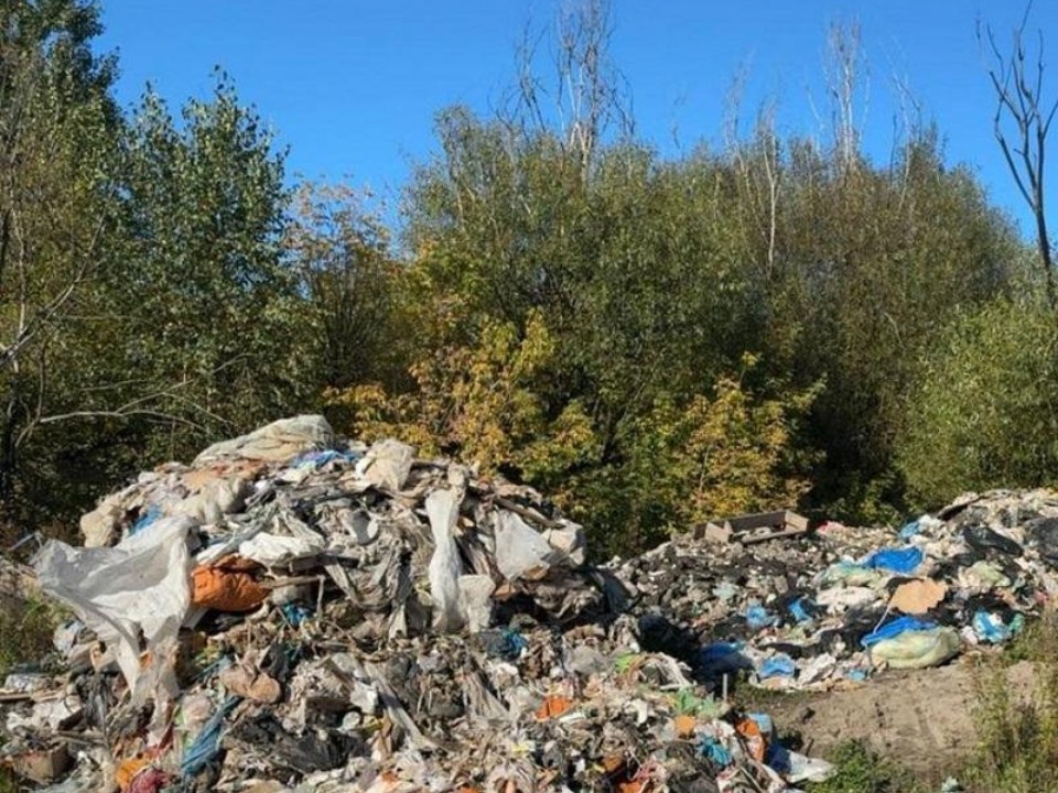 Апелляция не помогла щелковскому предпринимателю избежать возмещения ущерба от свалки