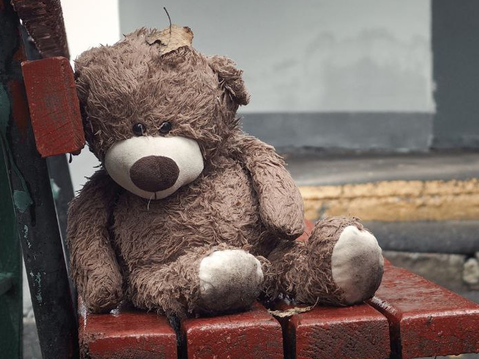 Плюшевые медведи наскучили мытищинцам: сразу в двух ЖК нашли выброшенные игрушки