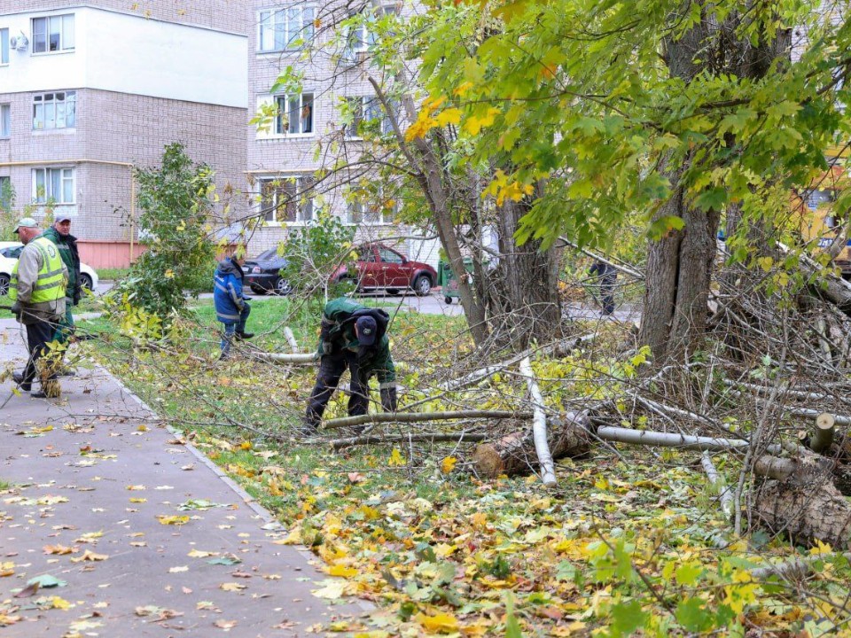 На Рабочей улице обрезали сухие ветки с деревьев и кронировали кусты