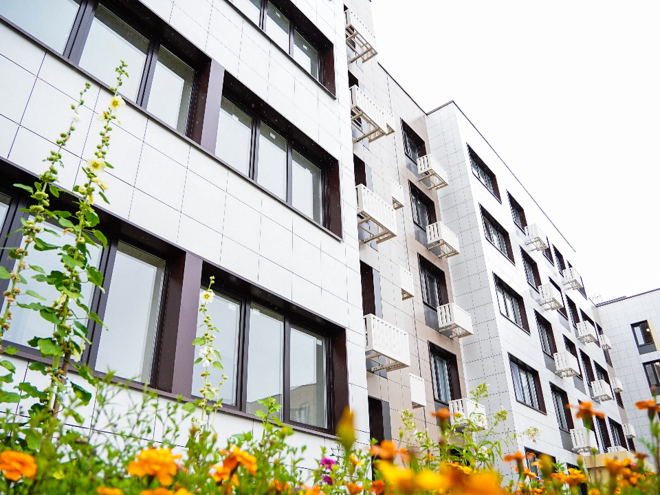 Новостройки, предприятия и ВОК: власти Шатуры опровергли слухи об исчезновении Рошаля