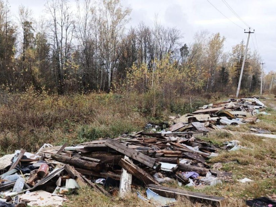 В подмосковных лесах стало чище на сотни кубометров