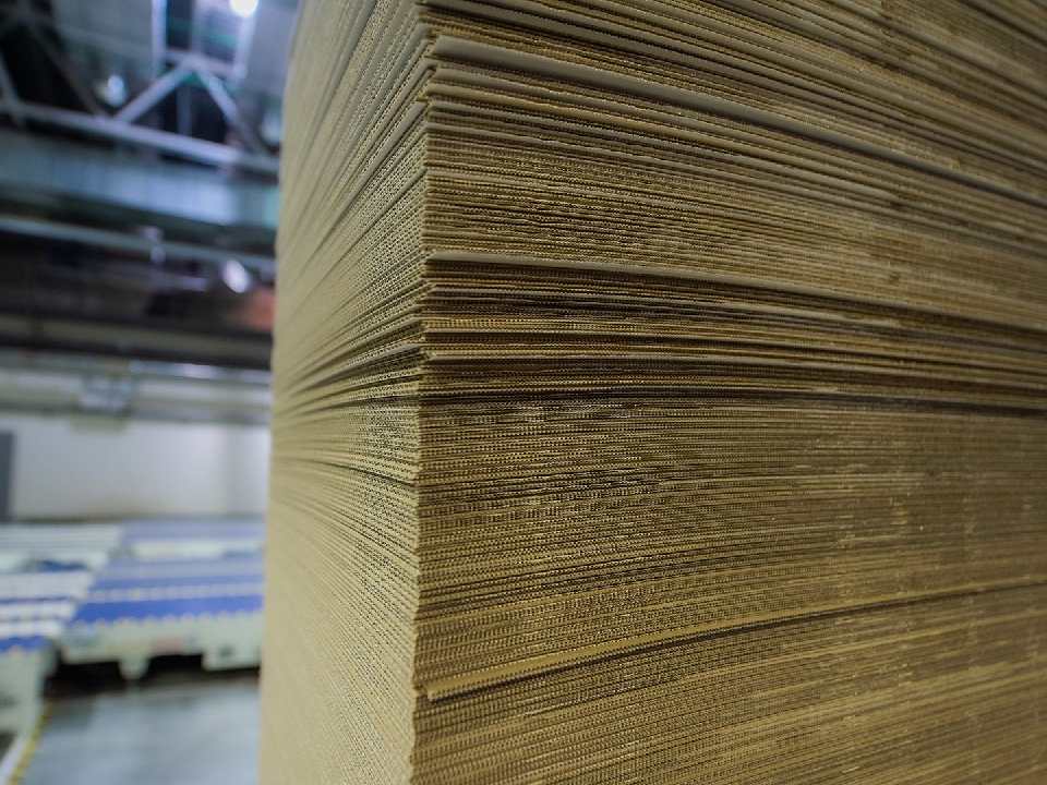 «V Единстве Za Победу»: названы адреса в Дмитрове, где можно сдать макулатуру для помощи фронту