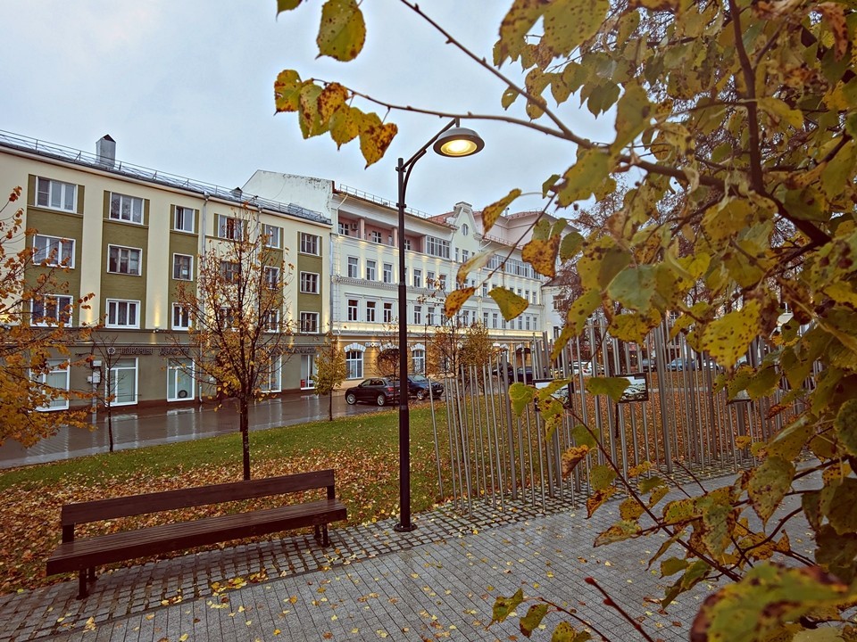 Тепло до +7 и дожди принесет циклон в Подмосковье 31 октября