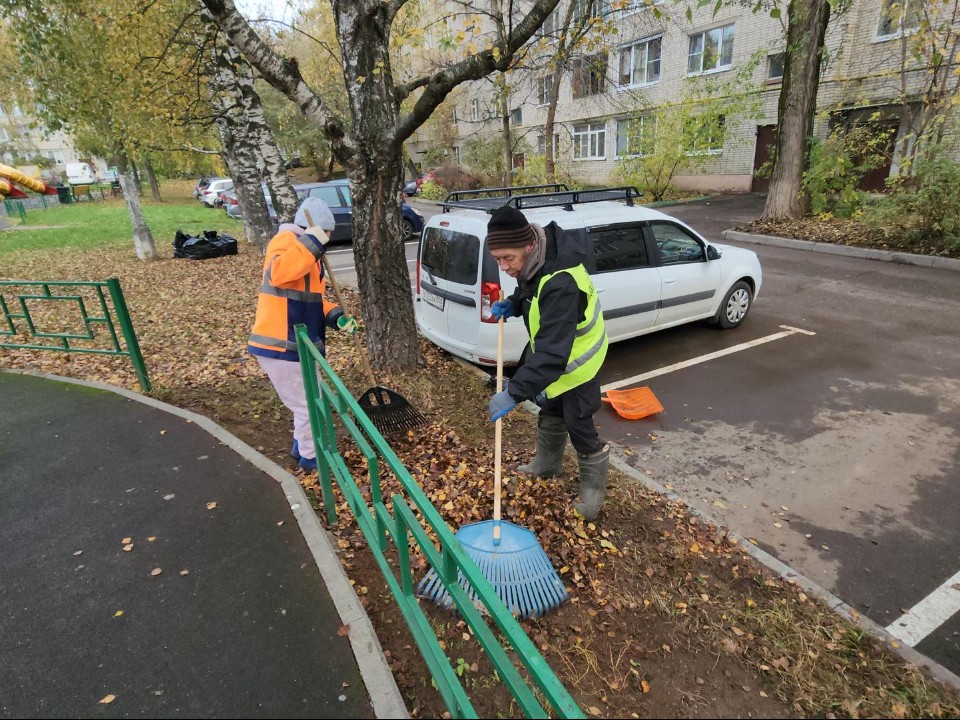 Двор на Босова избавили от скользкой листвы