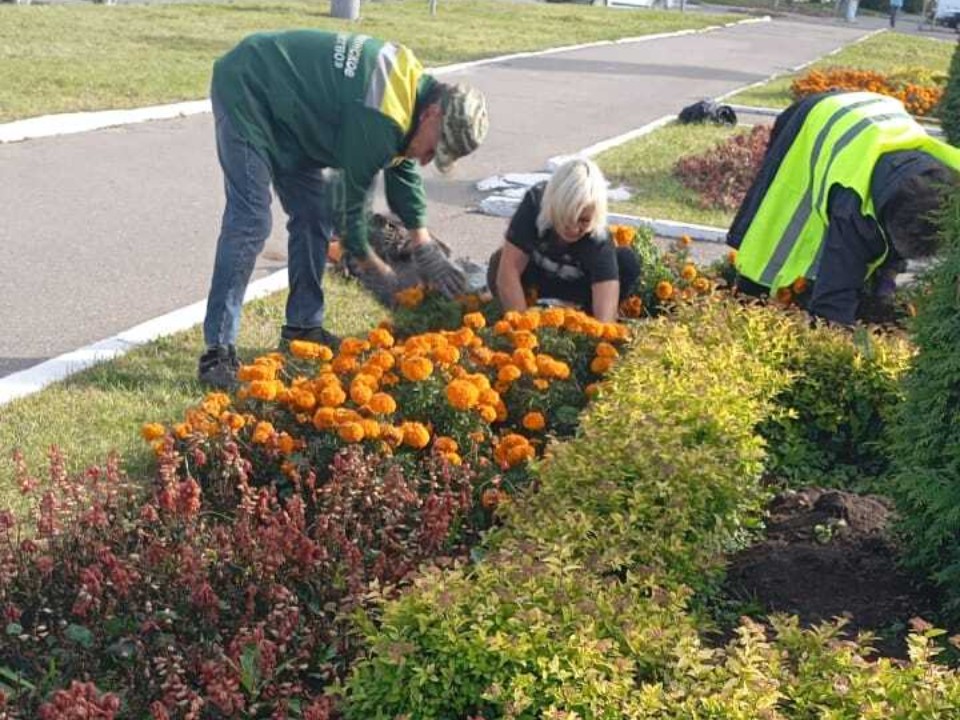 Будущие цветники в Коломне заложат до конца октября