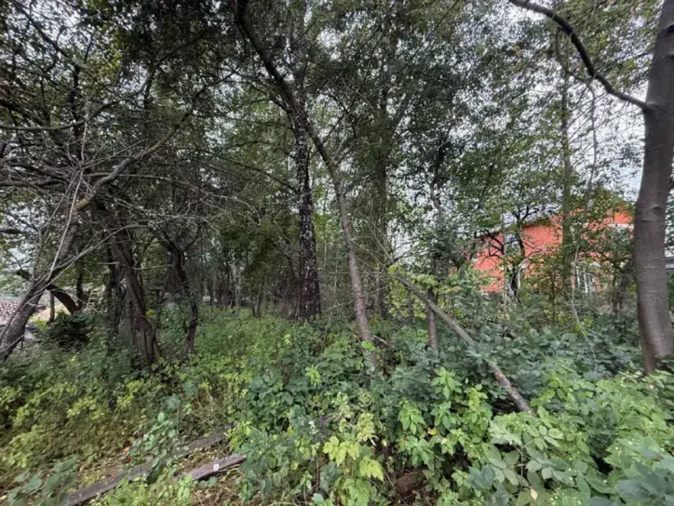 Масштабные торги определили новых владельцев земельных участков