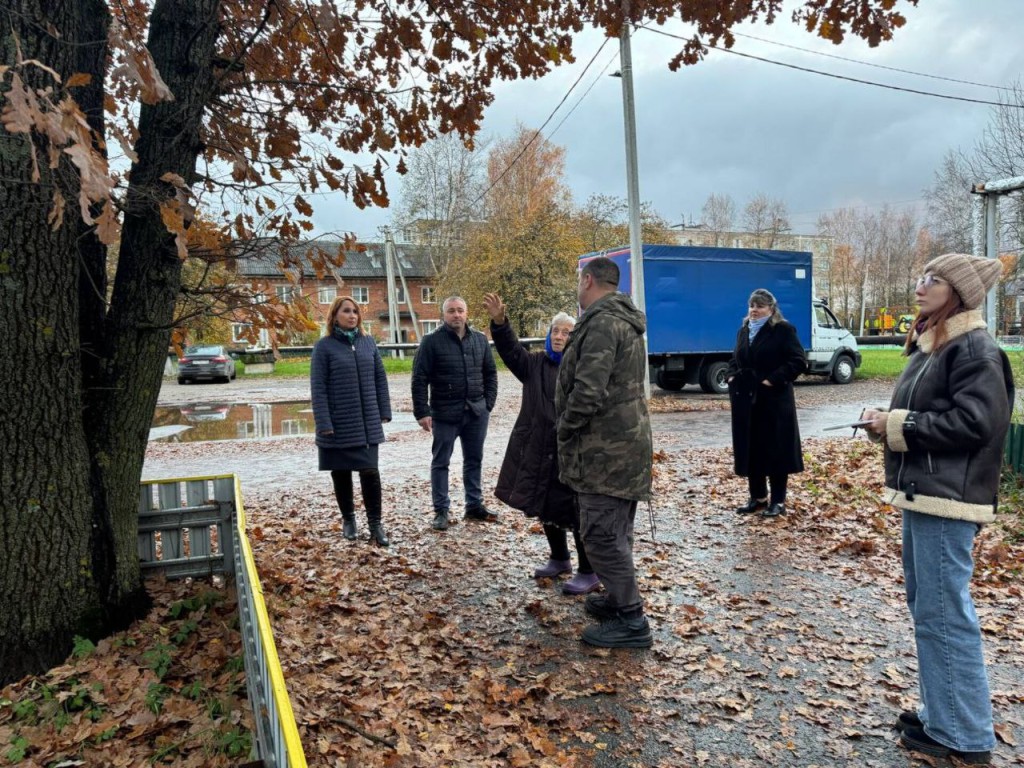 По просьбам жителей Квашенок до 24 октября спилят аварийное дерево