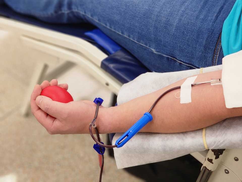 Студенты-медики из Подольска прошли путь донора