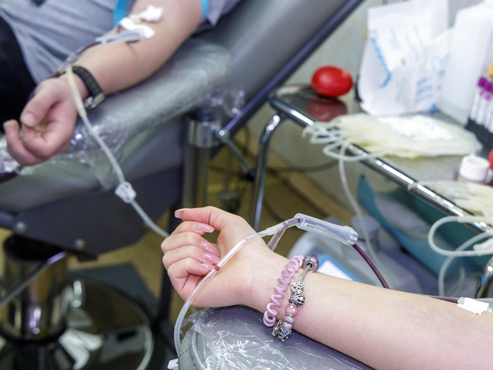 Добрые дела не остались без награды: как стать почетным донором и получить медаль за помощь людям