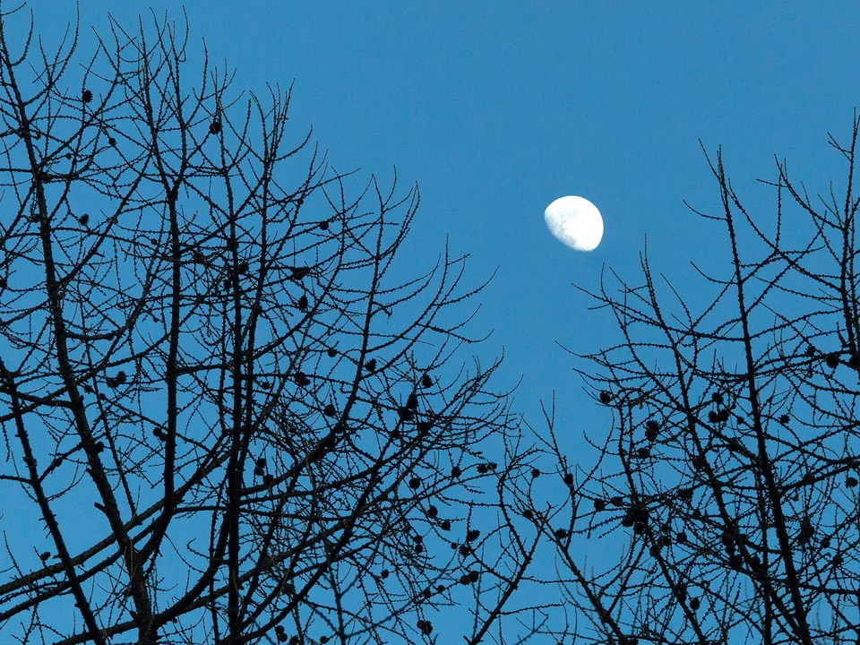 Какой сегодня день по лунному календарю — 15 октября 2025 года: лунный гороскоп