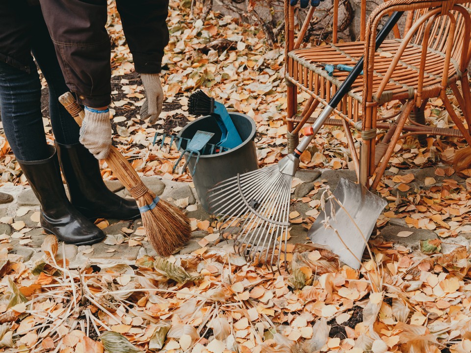 Где убирать листву, а где оставить: признания дачницы, которую соседи считали неряхой