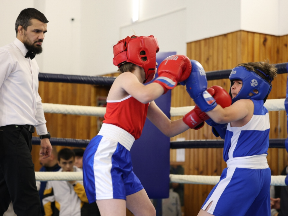 Время главных поединков: дмитровчан приглашают поддержать боксеров