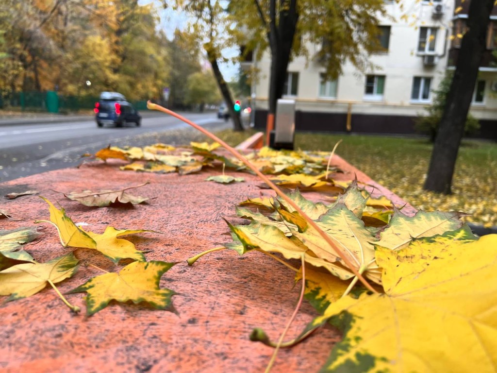 Погода в Раменском 27 октября 2025: дождь и +9°C