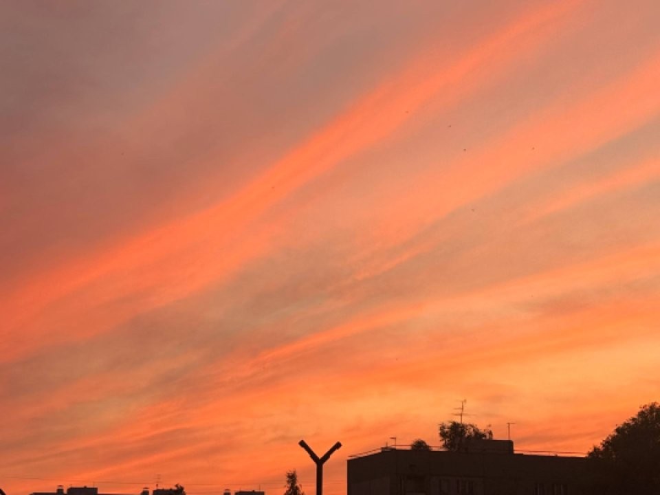 Названа причина едкого запаха, который охватил все районы Дубны