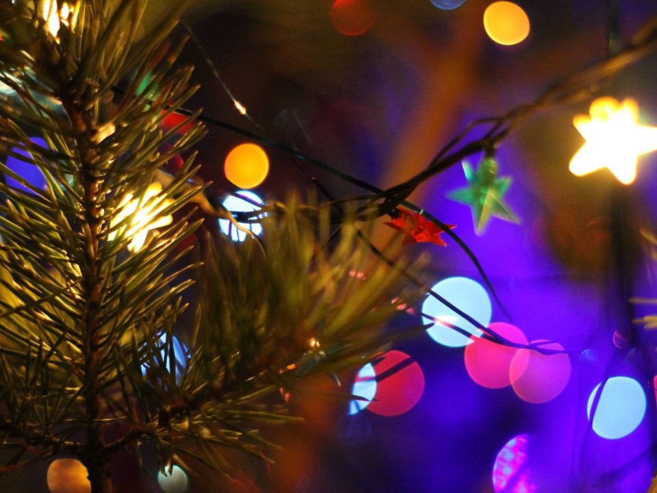 В Волоколамске заметили первую наряженную елку