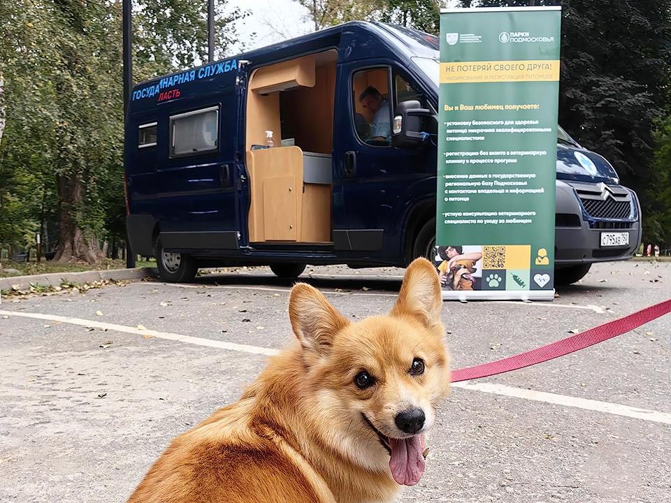 Выездную вакцинацию домашних животных проведут в парке усадьбы Кривякино