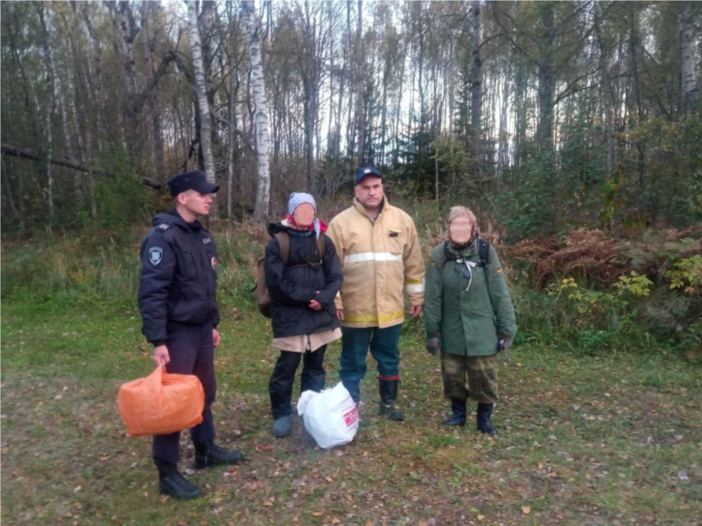 Спасатели разыскали двух пенсионерок, заблудившихся в лесу в Лотошине