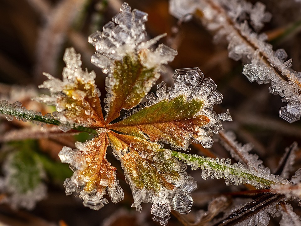 Какой народный праздник отмечают 30 октября 2025: что можно и нельзя делать на Осия Колесника